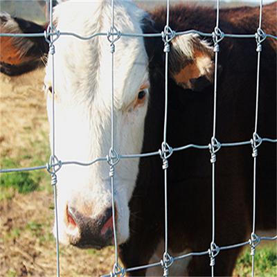 Fixed Knot Cattle Netting